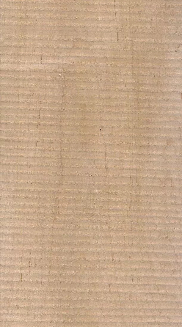 樺木的芯材顏色是淡紅棕色，邊材顏色近白色，板麵寬且帶影的木皮市場價格良好，紋理通常是直紋和波浪紋，質地均勻，板麵有很好的自然光澤度。.webp.jpg